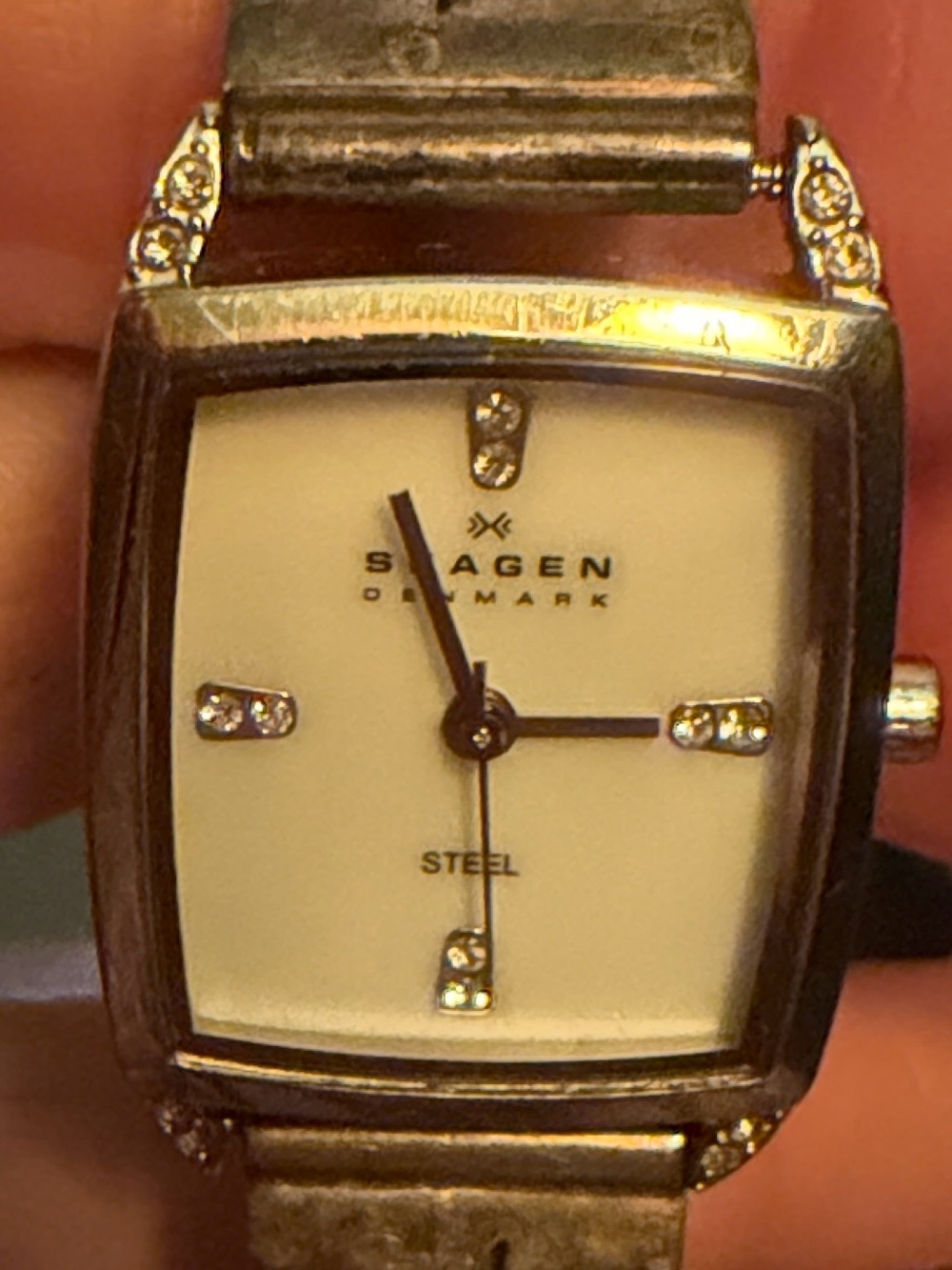Skagen Diamond/Hopi Bear claw Watch/ Band
